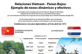 Relaciones Vietnam-Países Bajos: Ejemplo de nexos dinámicos y efectivos 