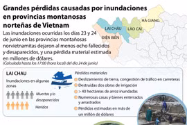 [Infografía] Grandes pérdidas causadas por inundaciones en Vietnam