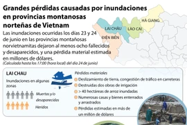 [Infografía] Grandes pérdidas causadas por inundaciones en Vietnam
