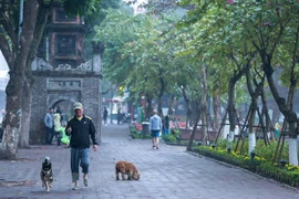 Hanoi apacible y tranquila en el primer día del Tet