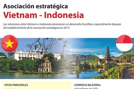[Infografía] Asociación estratégica Vietnam - Indonesia