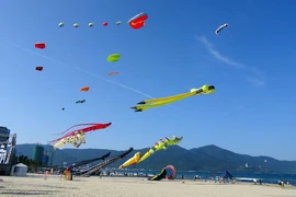 [Fotos] Celebran en ciudad de Da Nang festival de papalotes