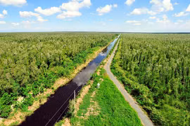 Vietnam impulsa el desarrollo del mercado de carbono