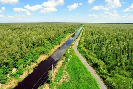 Vietnam impulsa el desarrollo del mercado de carbono