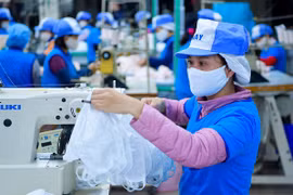 Productos vietnamitas afirman su posición en mercado nacional 