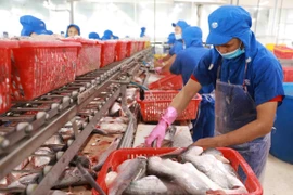 Nace Festival del Pescado Tra de Vietnam
