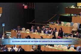 Elogian logros de Vietnam en garantía de derechos humanos 