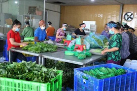 Provincia norteña de Bac Giang por construir zona de nueva ruralidad 