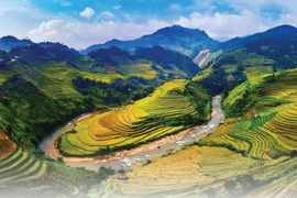 Turistas internacionales en Vietnam en 11 meses aumentan 3,8 veces 