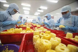 Exportaciones de frutas y verduras de Vietnam alcanzarán 5,5 mil millones de dólares