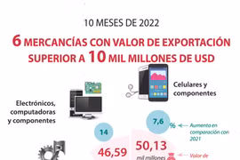 Seis mercancías con valor de exportación superior a 10 mil millones de dólares