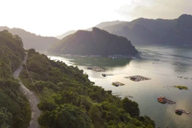 La belleza majestuosa y poética del embalse Hoa Binh