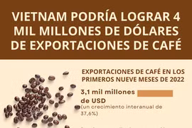 Vietnam podría lograr 4 mil millones de dólares de exportaciones de café