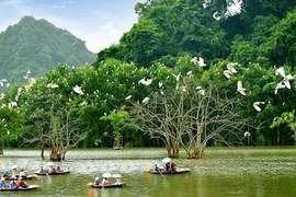 Vietnam trabaja para prevenir la degradación de la biodiversidad