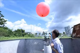 Vietnam promueve la aplicación de inteligencia artificial en hidrometeorología