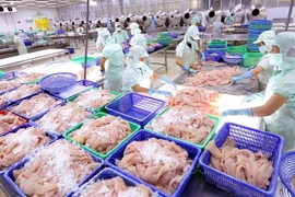 Empresas acuícolas de Vietnam por extenderse al mercado mundial