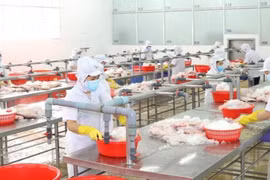 Vietnam se esfuerza por proteger la producción y las cadenas de suministro