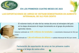 Las exportaciones del arroz vietnamita aumentan 54,5 por ciento 