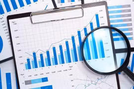 Vietnam establece sistema nacional de información estadística integral