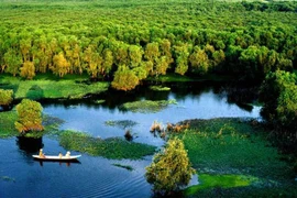 Gestión sostenible de recursos de turberas en Parque Nacional U Minh Ha 