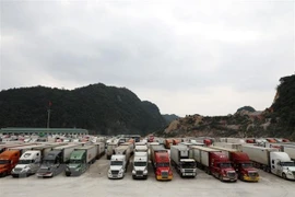 Instan a resolver congestiones en puertas fronterizas de Vietnam antes del Tet