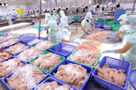 Exportaciones de mariscos de Vietnam en segundo trimestre pueden lograr récord de tres mil millones de dólares 