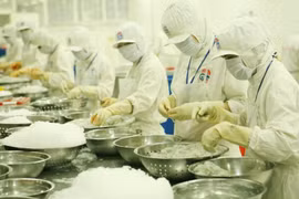 Oportunidades para exportaciones vietnamitas al mercado nórdico 