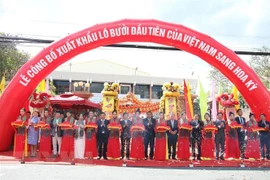 Provincia vietnamita exporta primer lote de pomelo a Estados Unidos