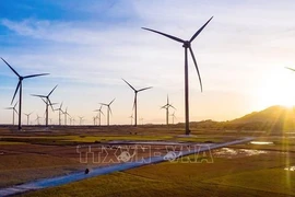 Elaboran plan de acción nacional de crecimiento verde en Vietnam para el período 2021-2030