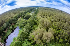 Reserva natural en Delta del Mekong aprovecha potencial del ecoturismo 