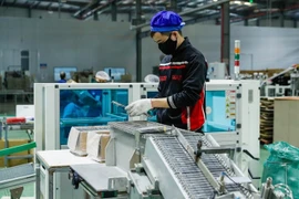 Publican informe anual sobre inversión extranjera directa en Vietnam en 2022 