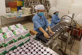 Espacio abierto para un mayor desarrollo de la industria láctea de Vietnam