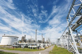 PVN supera todos los objetivos de producción y negocio 