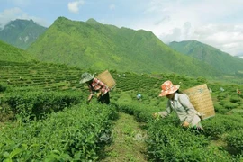 Vietnam se esfuerza por reducir la pobreza en zonas remotas