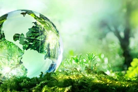 Hanoi aclarará procedimientos administrativos en sector del medio ambiente 