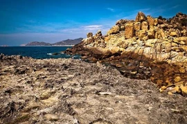 Reserva de biosfera de Nui Chua en Vietnam, lugar seguro para las tortugas marinas