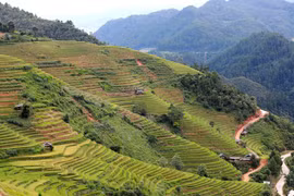 Terrazas de arroz en Mu Cang Chai, una obra maestra de la naturaleza y la creatividad humana