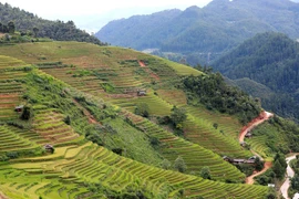 Terrazas de arroz en Mu Cang Chai, una obra maestra de la naturaleza y la creatividad humana