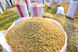 Emite Vietnam nueva política sobre importación de arroz y hojas de tabacos 
