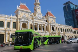 Vehículo eléctrico, un mercado prometedor en Vietnam
