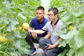 Provincia de Tuyen Quang impulsa desarrollo comercial en áreas montañosas y remotas