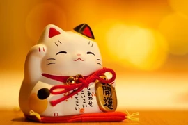 Características de las personas nacidas en el Año del Gato 