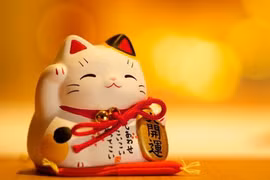 Características de las personas nacidas en el Año del Gato 