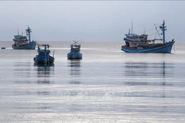 Sector pesquero vietnamita por desarrollarse de manera moderna y sostenible
