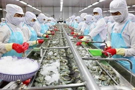 Vietnam por desarrollar de manera sostenible sector acuático