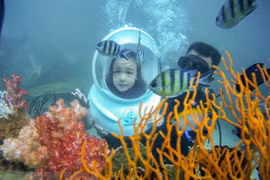 “Isla de perla” Phu Quoc, paraíso turístico de la región tropical en Vietnam