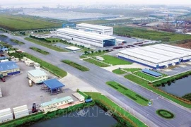 Tendencia de desarrollar ecosistema industrial en Vietnam