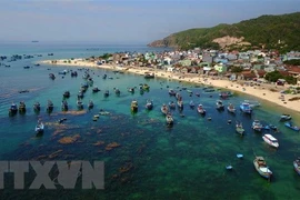 Vietnam apunta a establecer un grupo de asociación para la economía azul