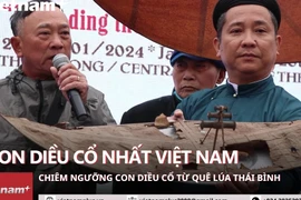 Alegría en Ciudadela Imperial de Thang Long por procesión de cometas