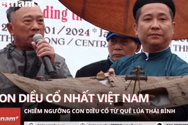 Alegría en Ciudadela Imperial de Thang Long por procesión de cometas